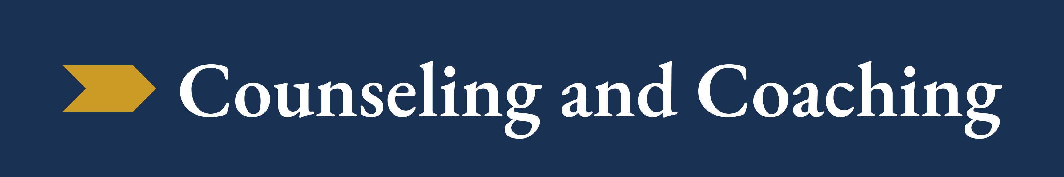 Counseling and Coaching Christian Counseling and Marriage Coaching at Expedition Marriage